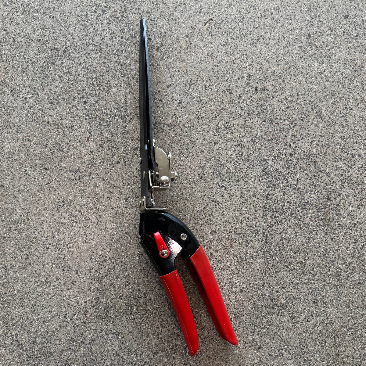 Sheers & Pruners