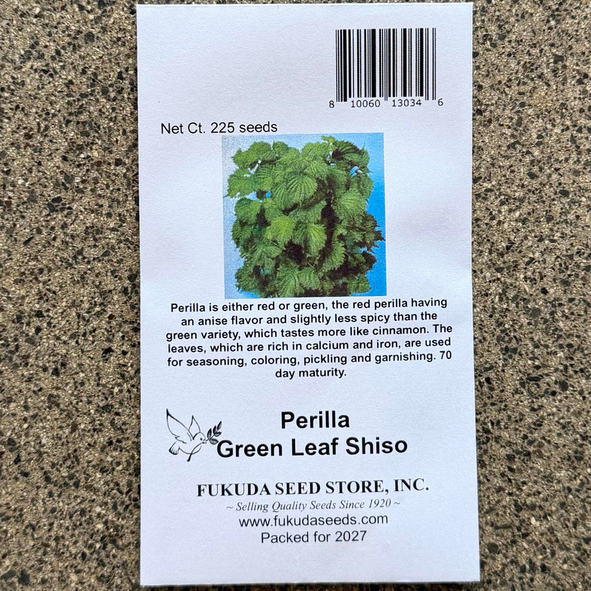 Perilla, Green Leaf Shiso, seeds