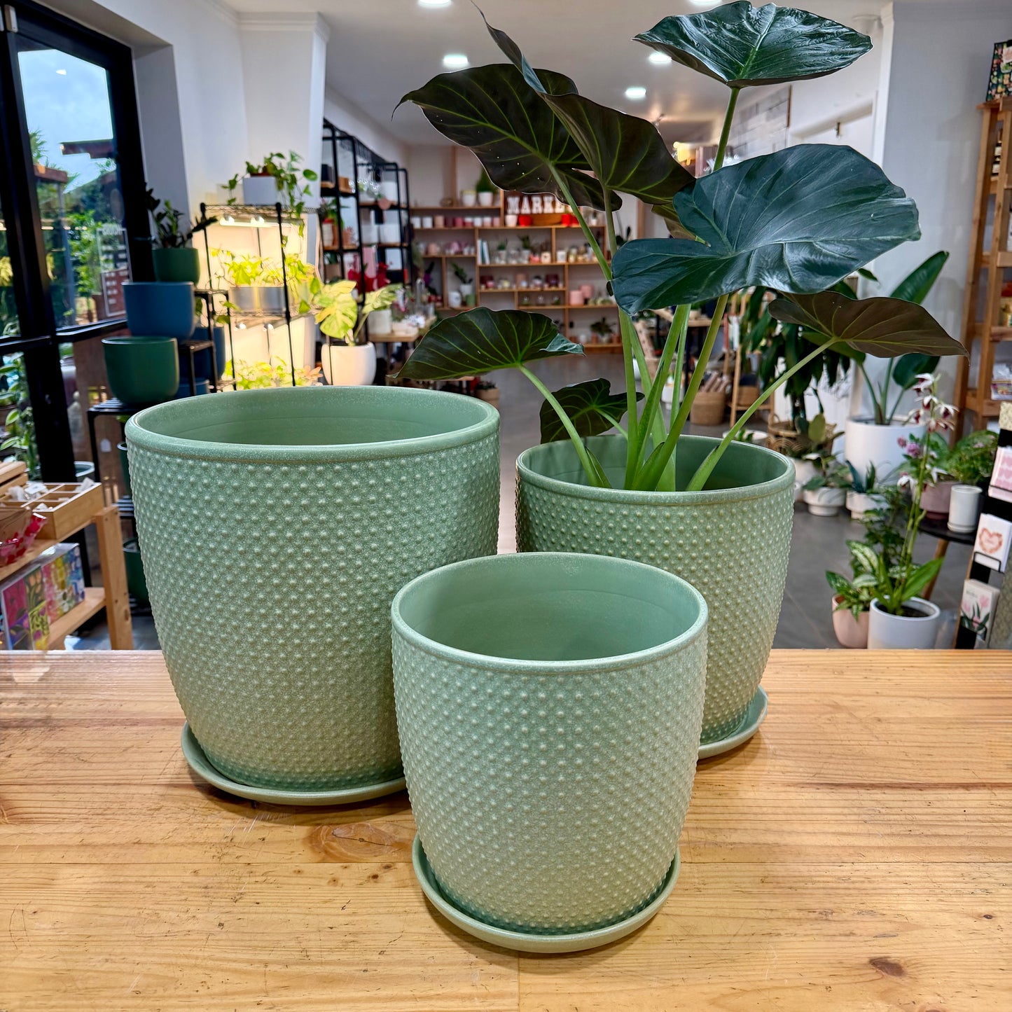 Sinatra Ceramic Planter
