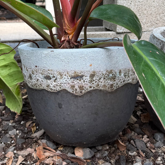 Grey Coral Ceramic Planter
