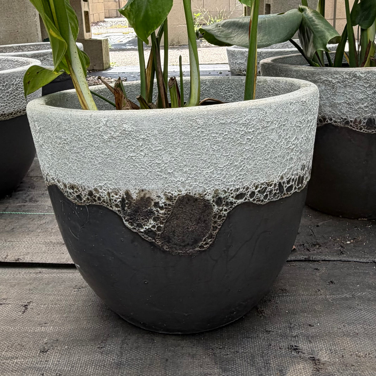 Grey Coral Ceramic Planter
