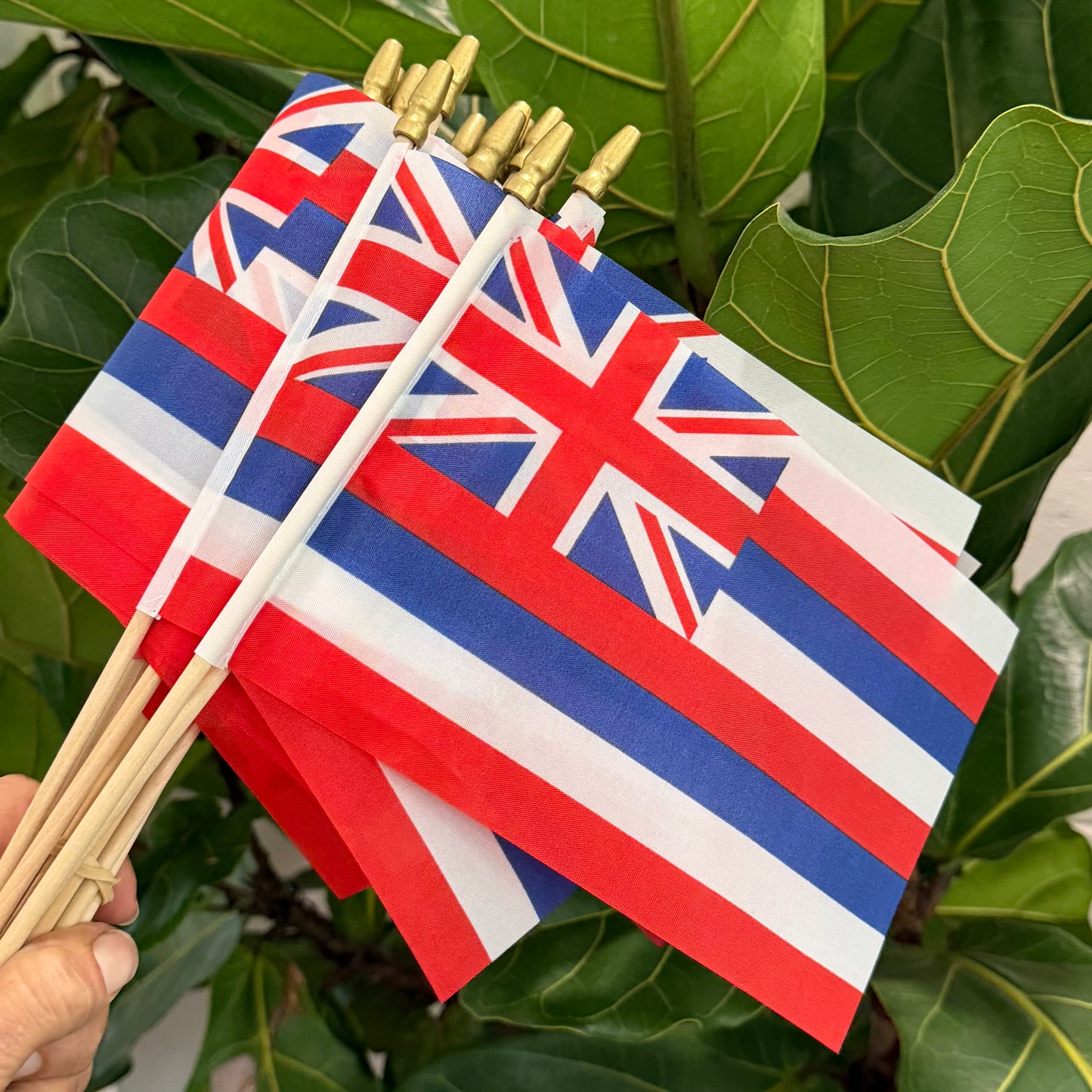 Hawaiian Flag