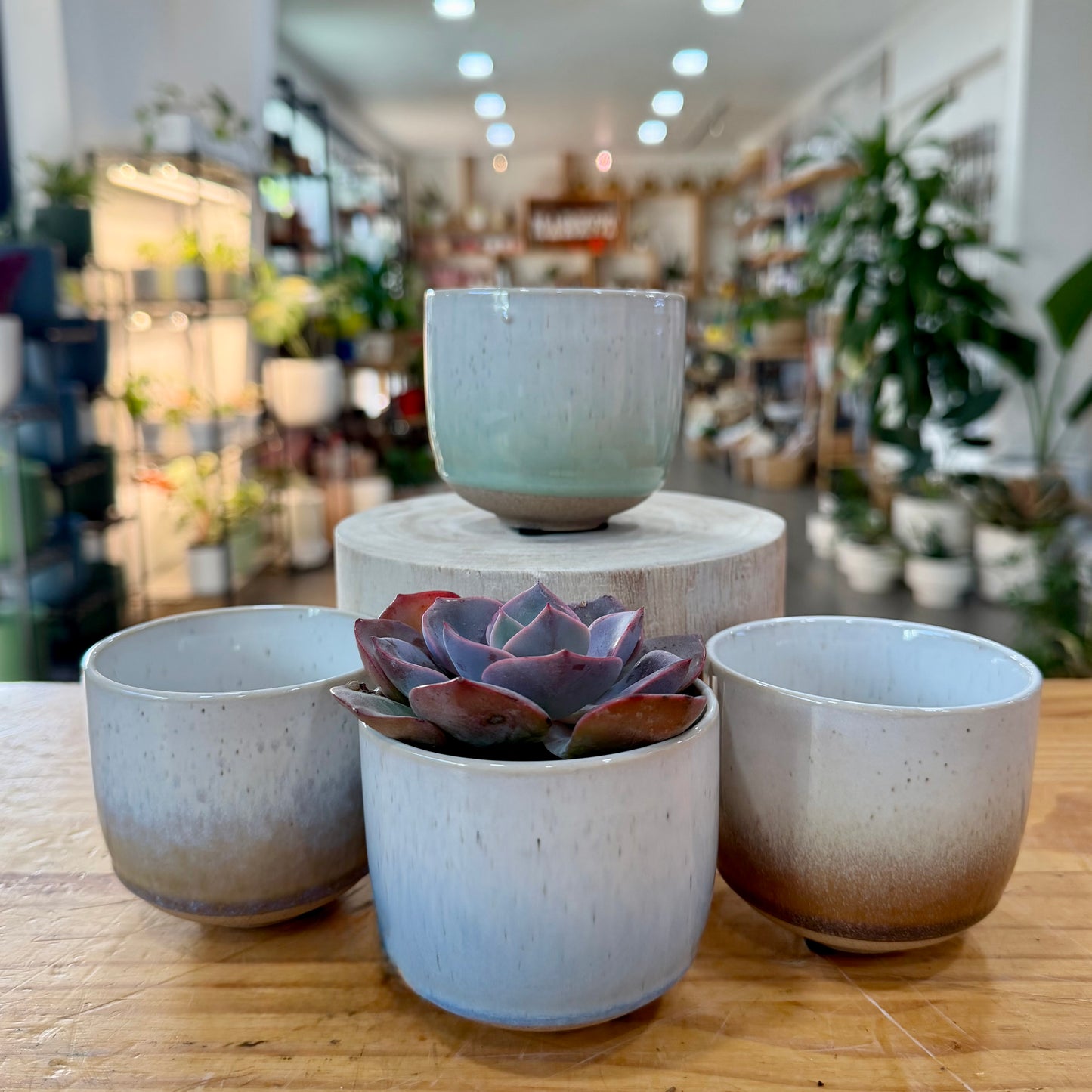 Hayes Planter
