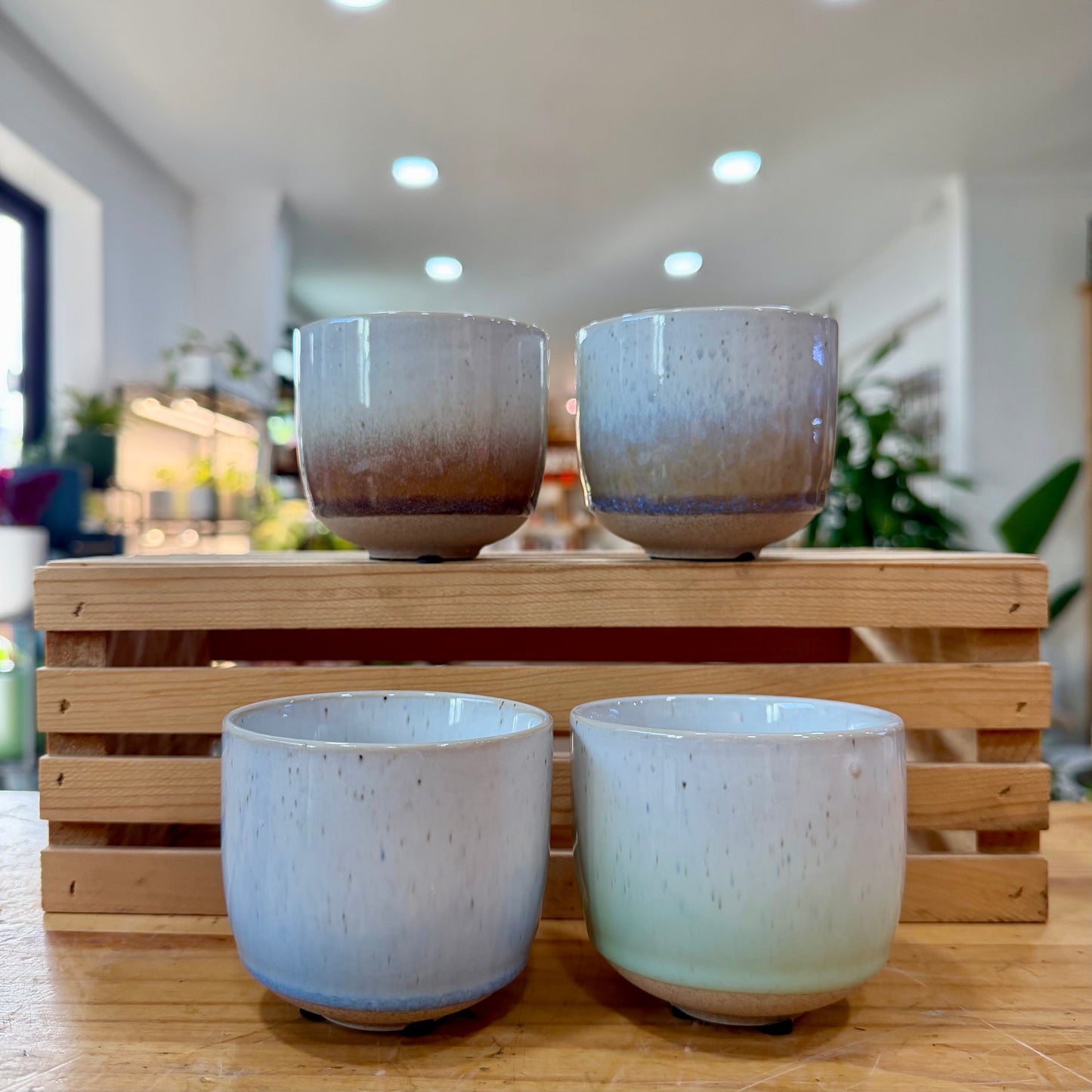 Hayes Planter