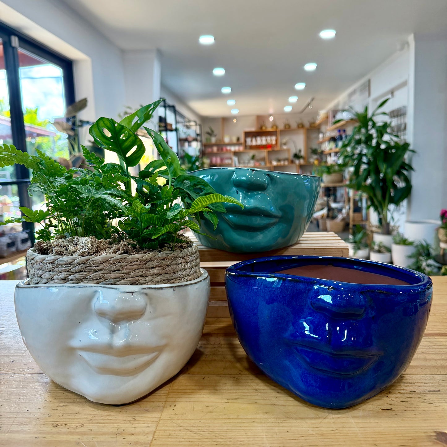 9" Head Planter