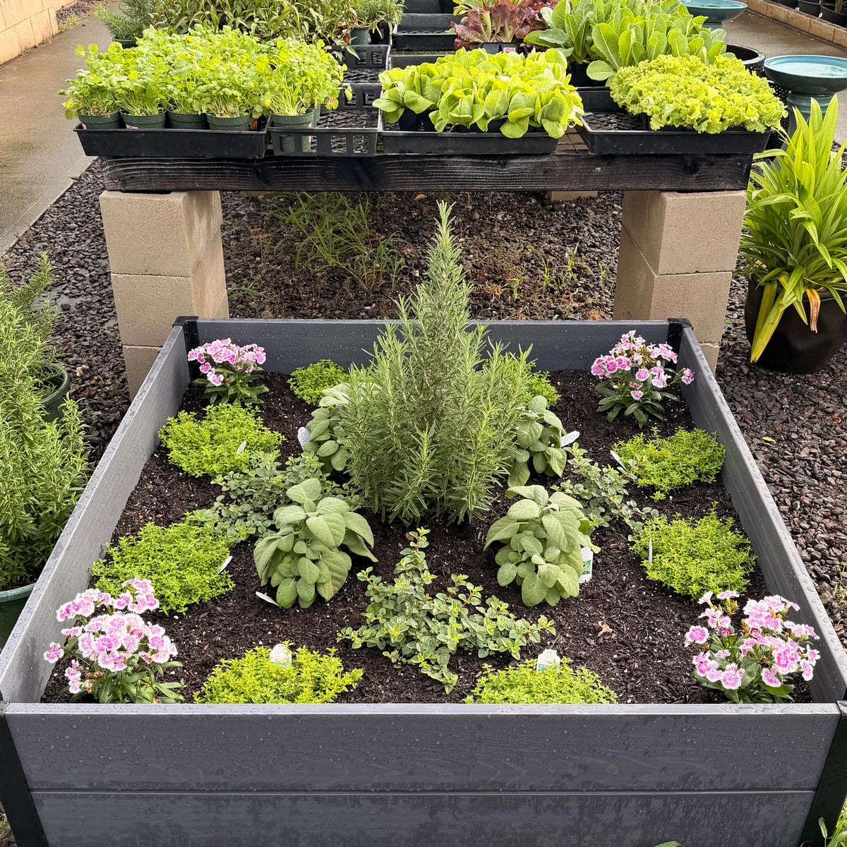 48"x48" Raised Garden Bed