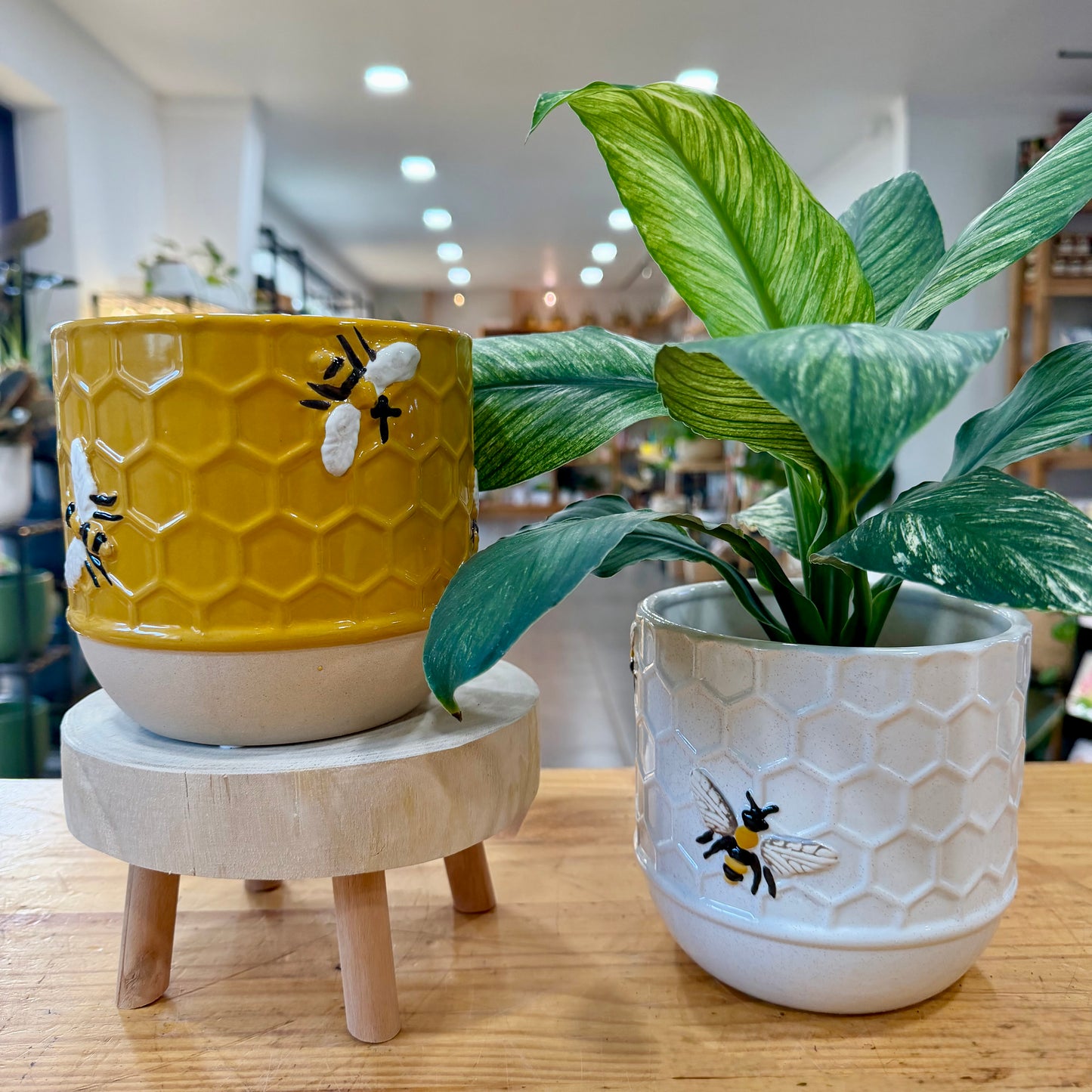 Honeycomb Planter
