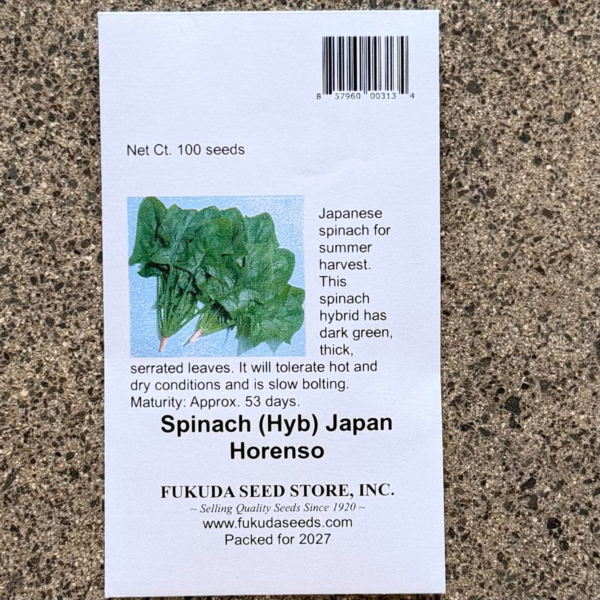 Spinach 'Japan Horenso'