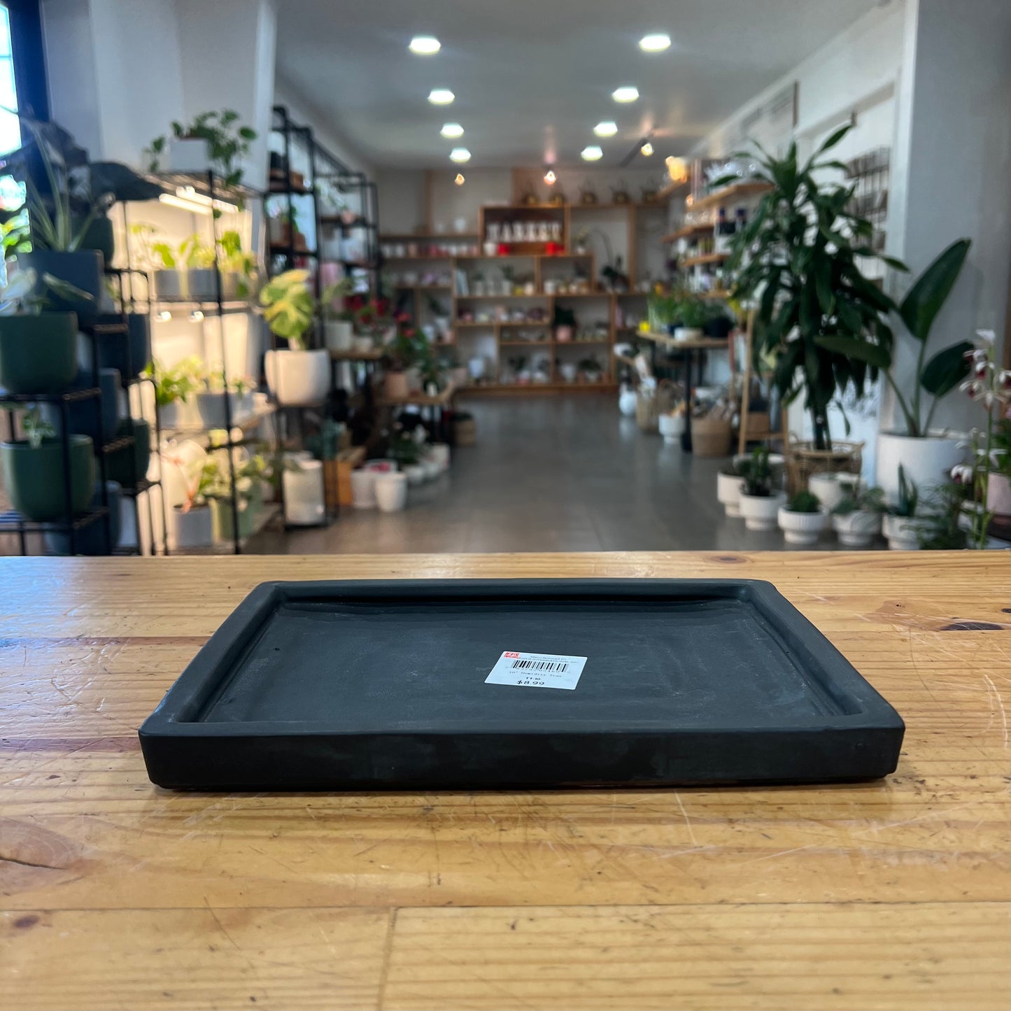 Humidity Trays