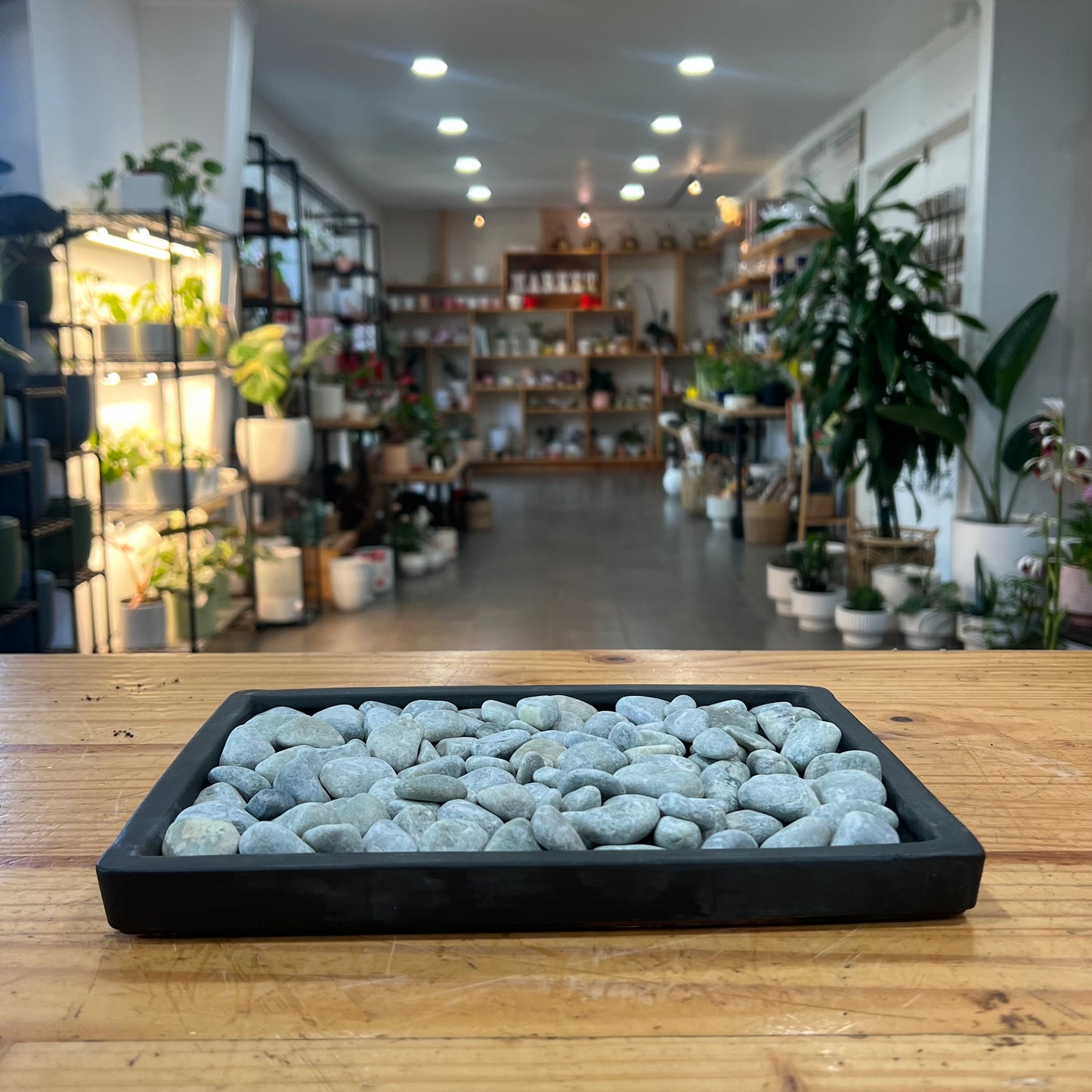 Humidity Trays