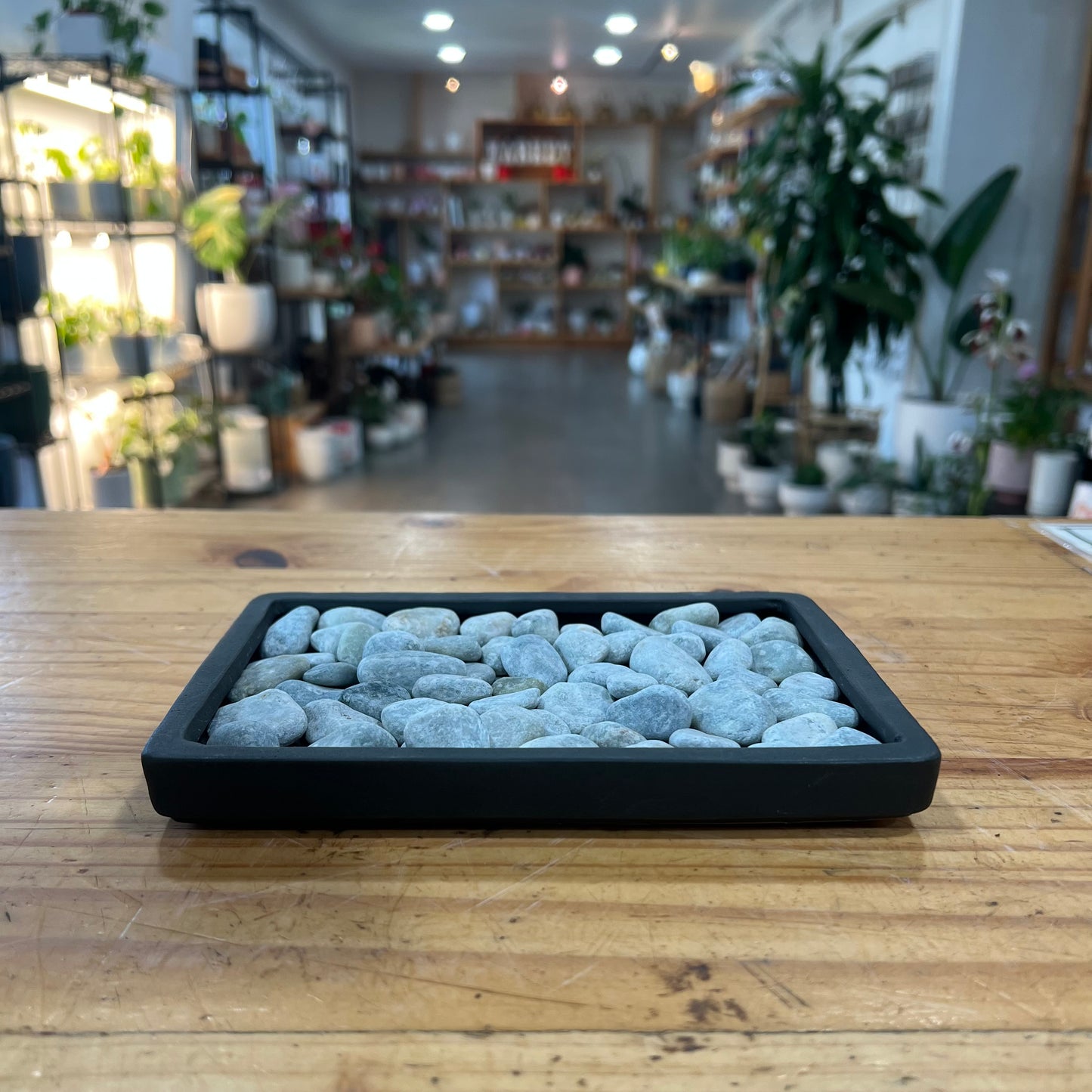 Humidity Trays