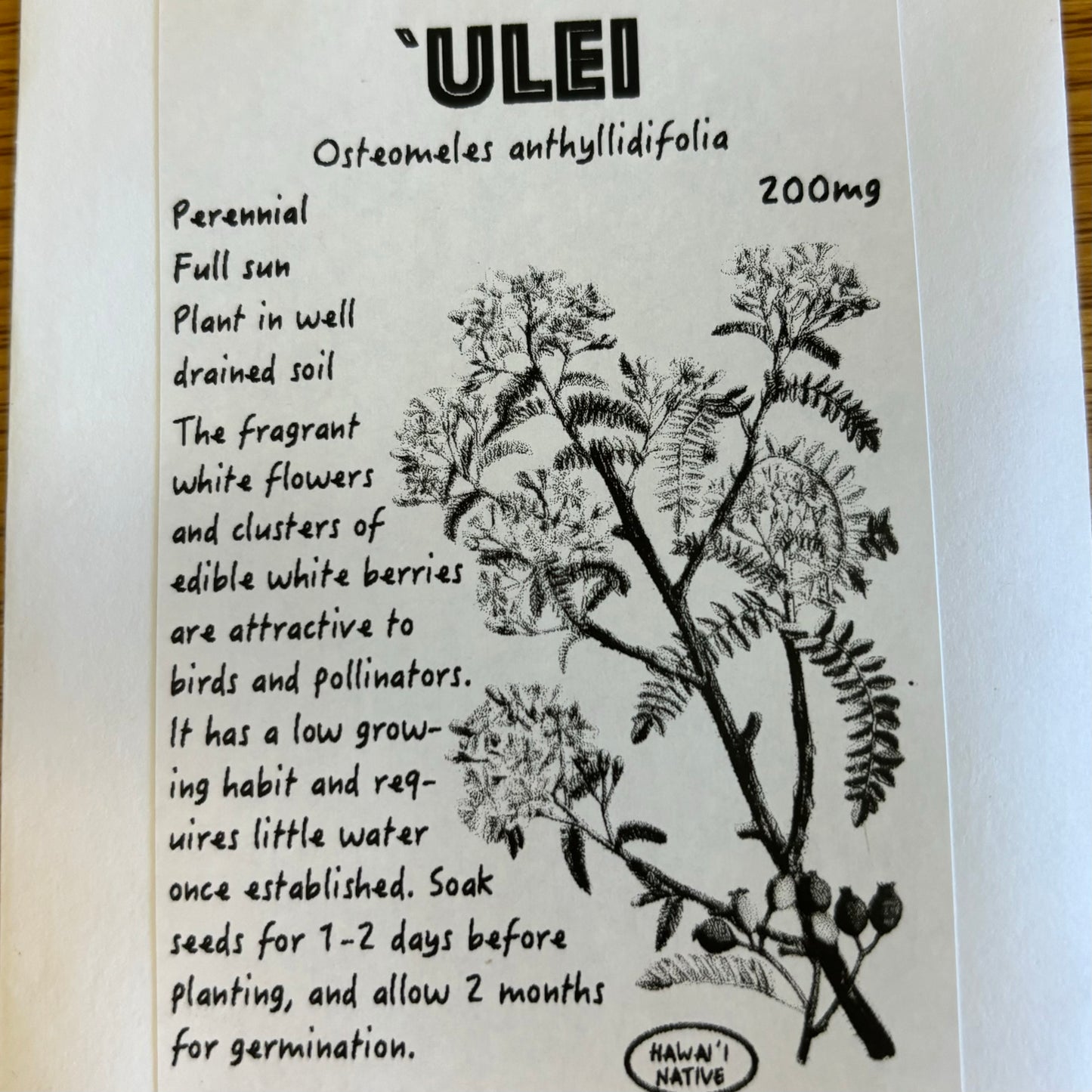 'Ulei, seeds