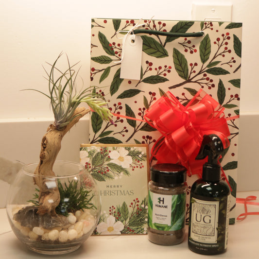 Holiday Gift Set (You're on the Nice list!)