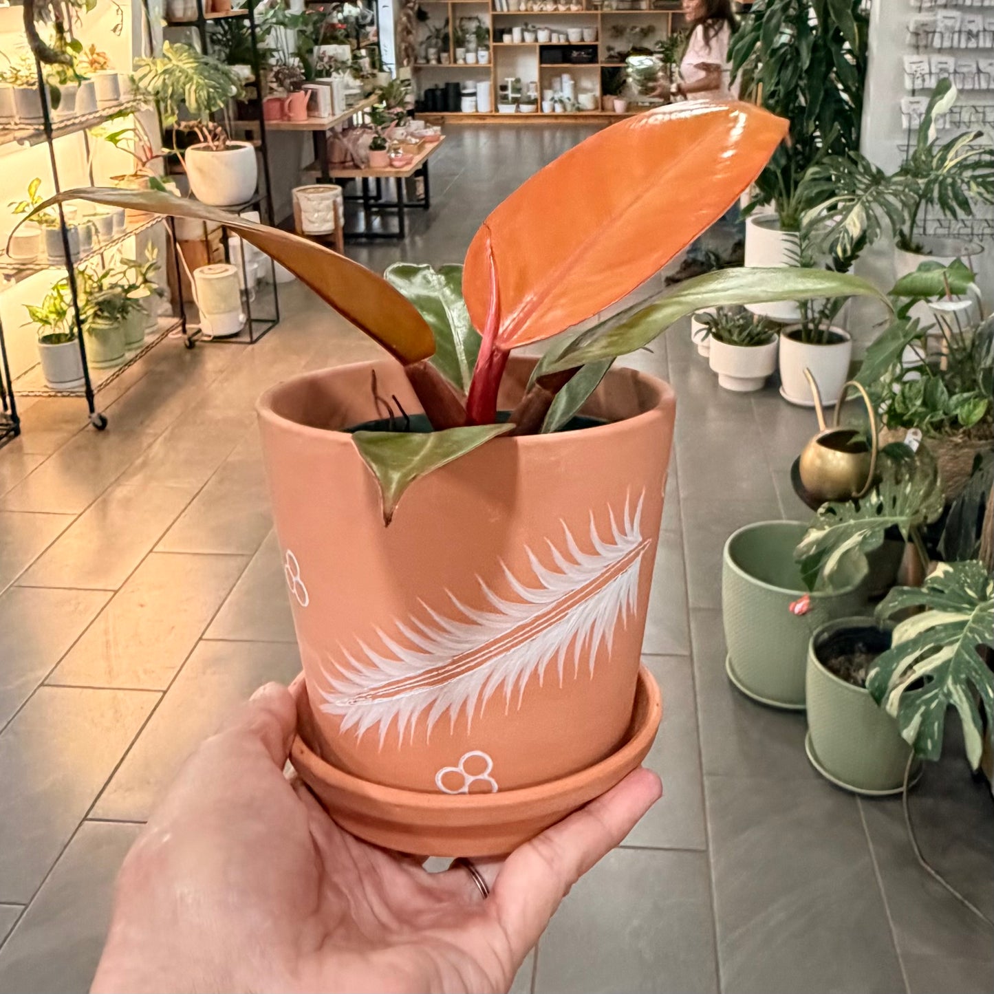 5" Terracotta Cylinder Planter