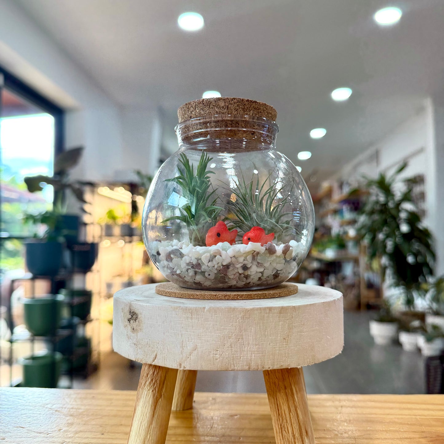 Propagation Bulb with Cork Lid and Base