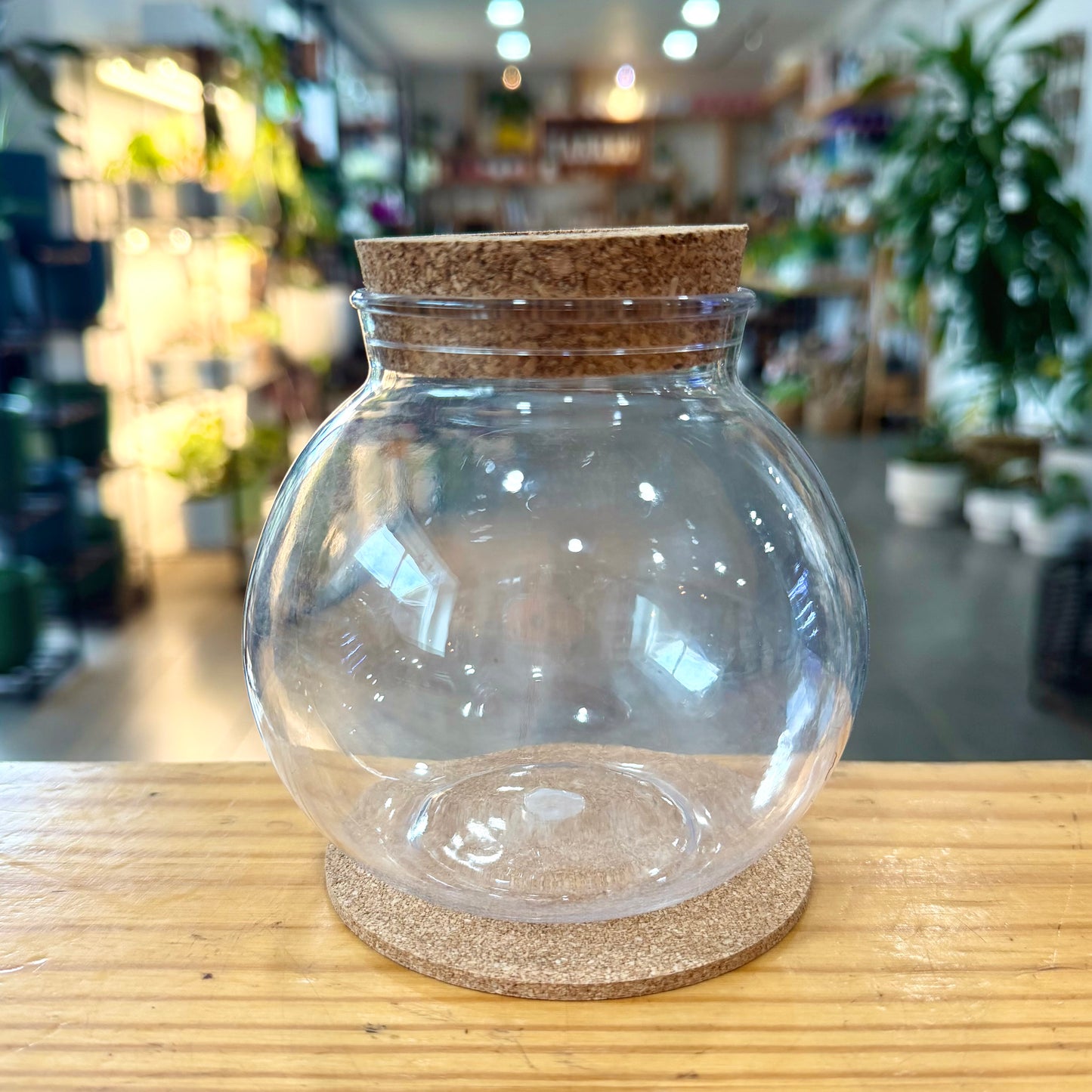 Propagation Bulb with Cork Lid and Base