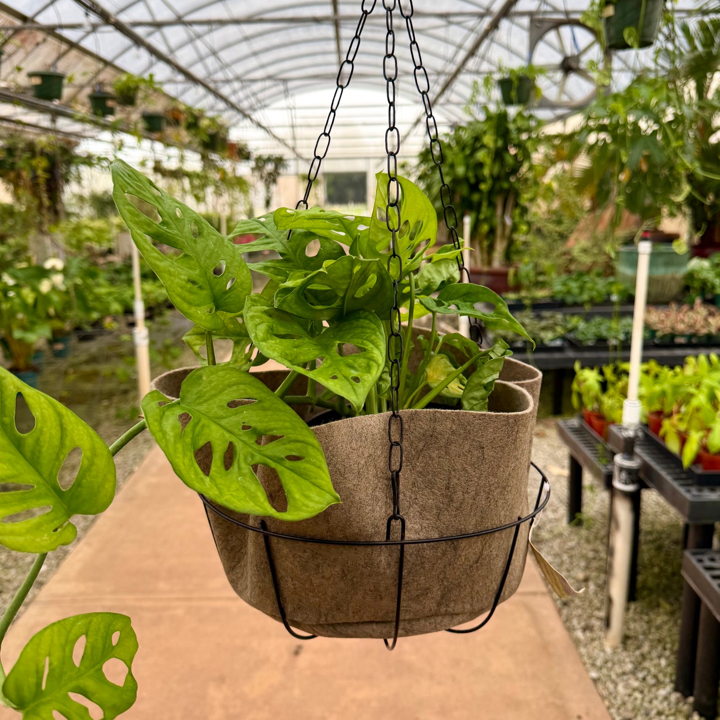 Smart Pots 14"
