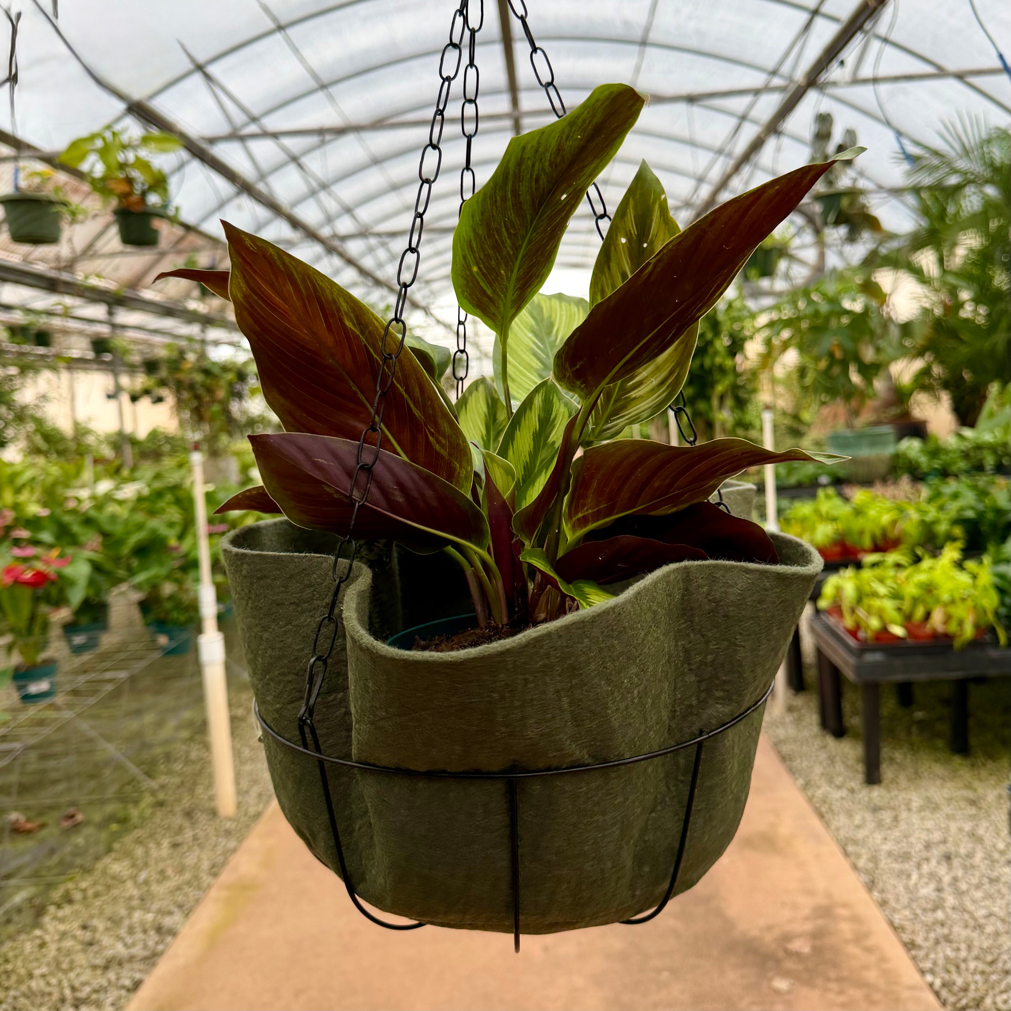 Smart Pots 14
