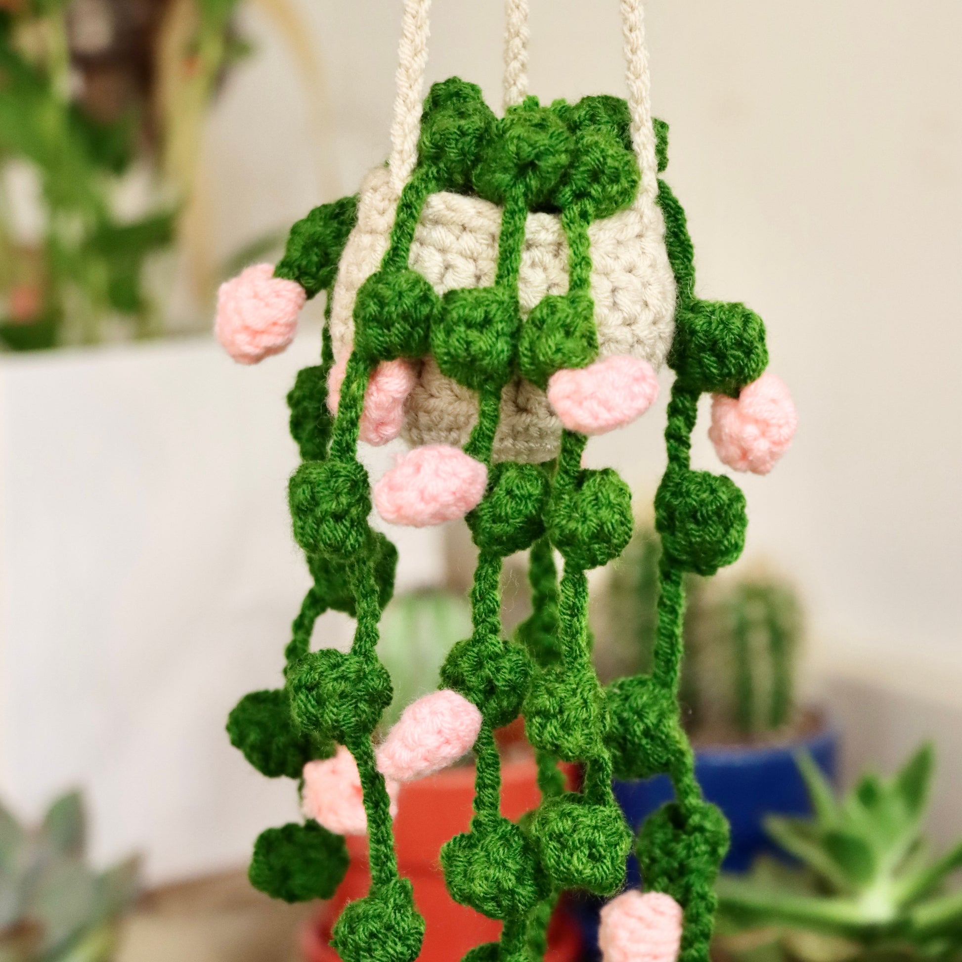 crochet hanging plant Assorted Crocheted Plants