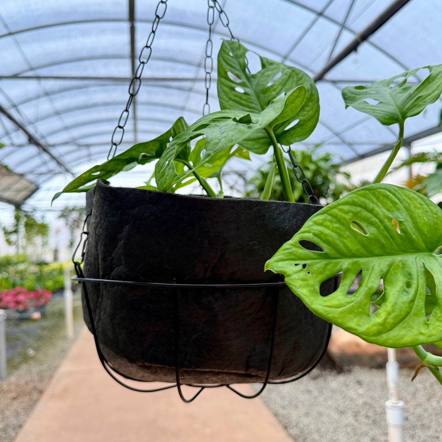 Smart Pots 14"
