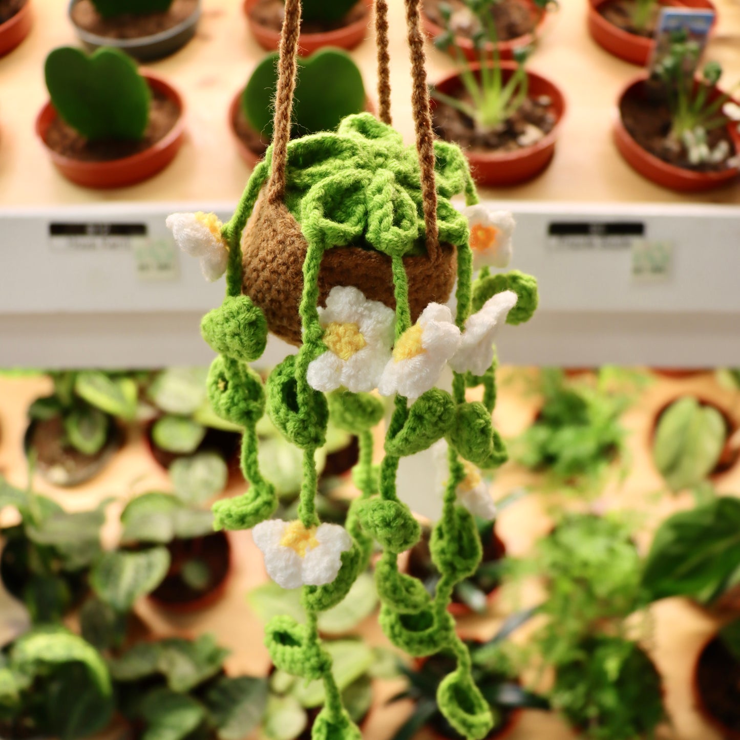 Assorted Crocheted Plants