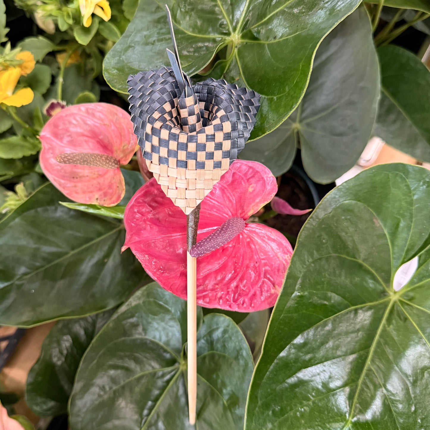 Hand woven - Lauhala Anthurium