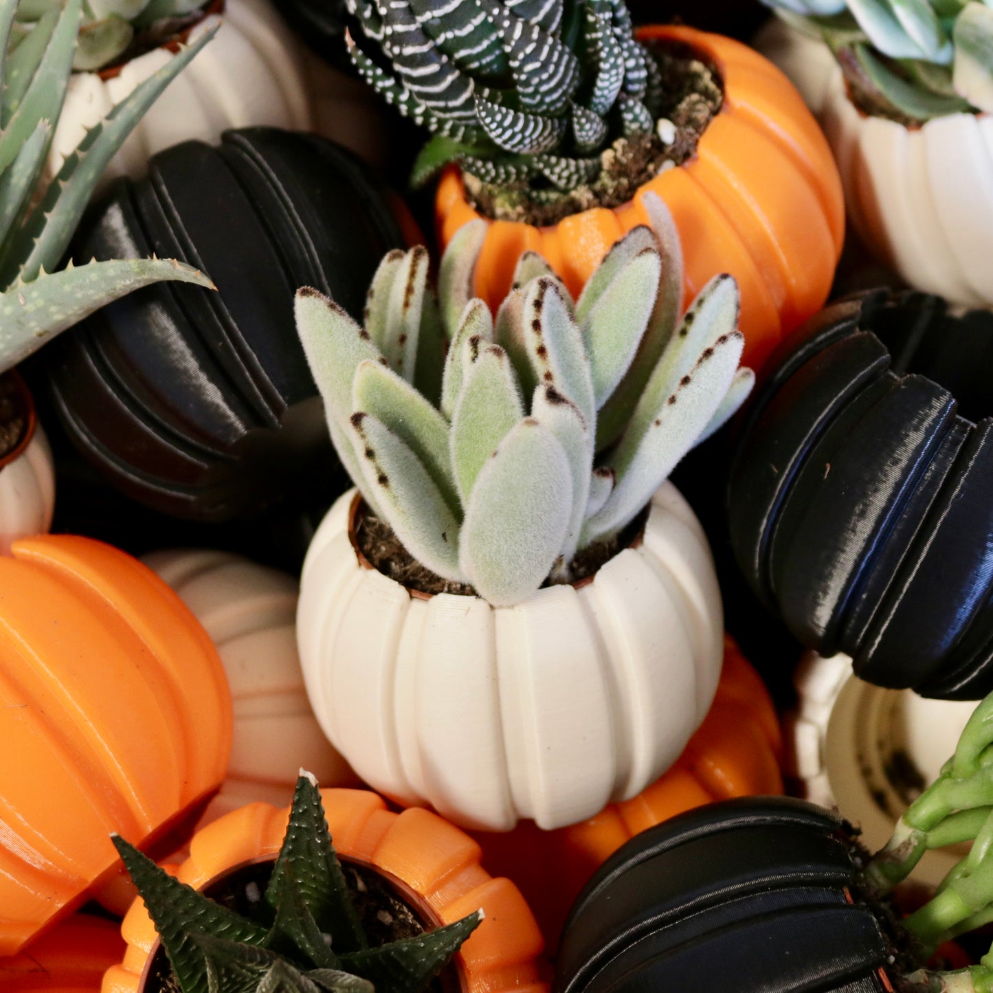 Pumpkin Planter