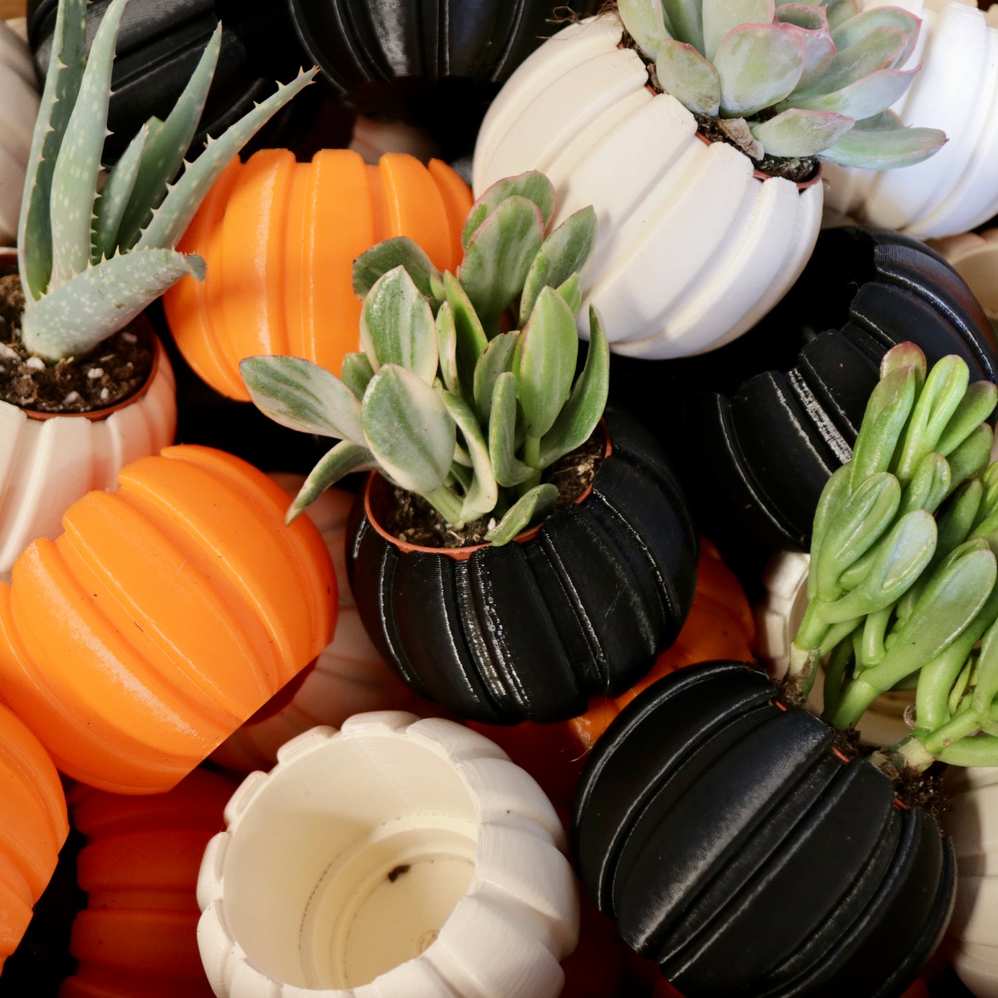 Pumpkin Planter