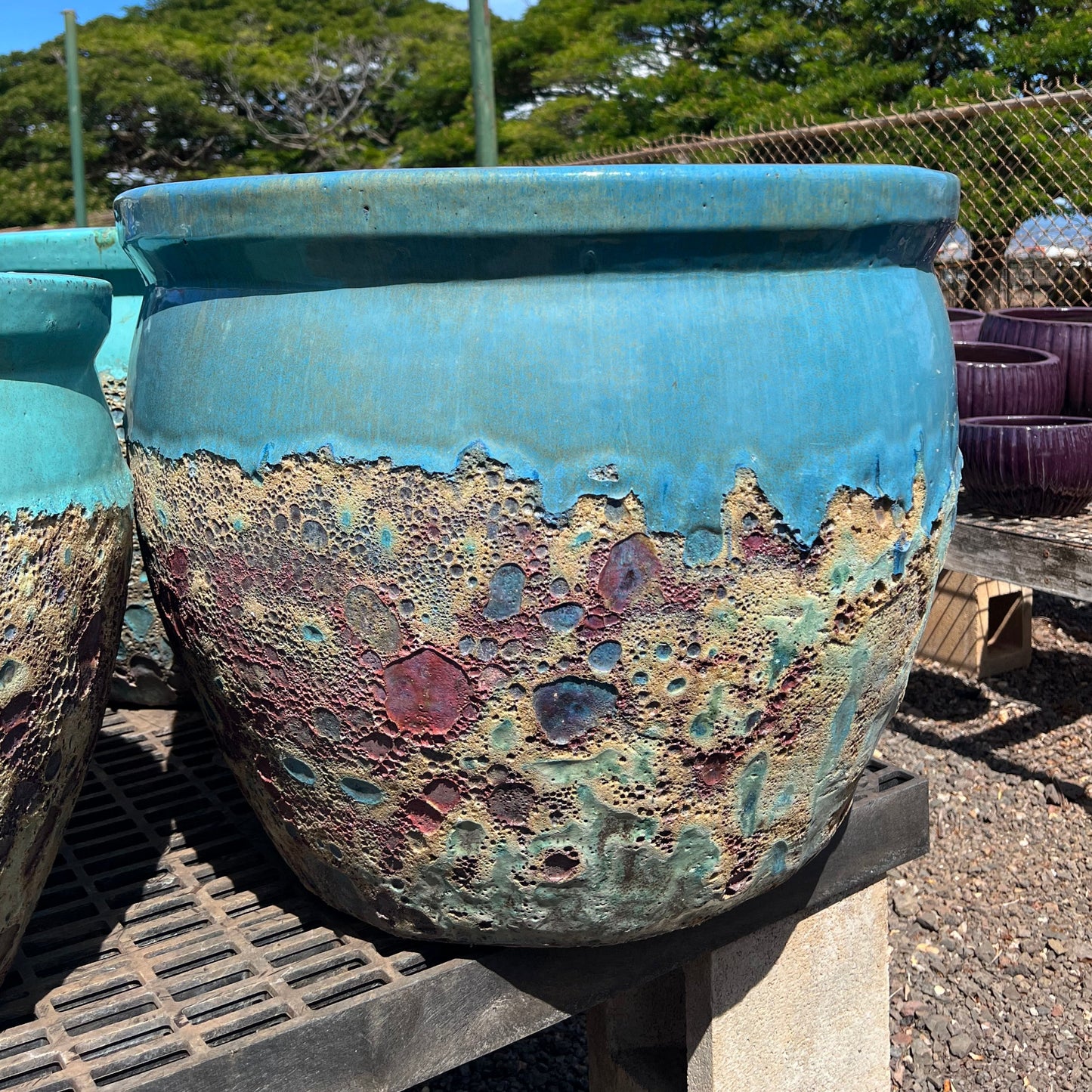 Teal Coral Ceramic Planter