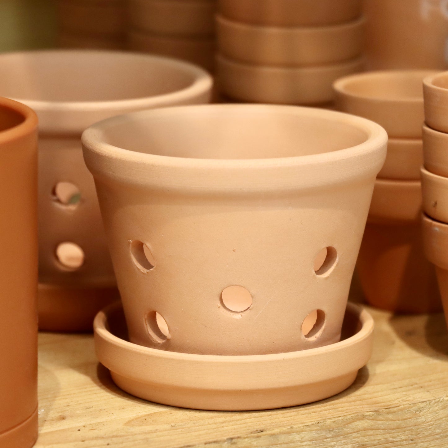 Terracotta Orchid Planter
