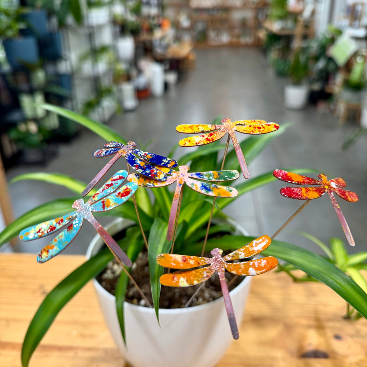 Small Copper Enamel Dragonflies