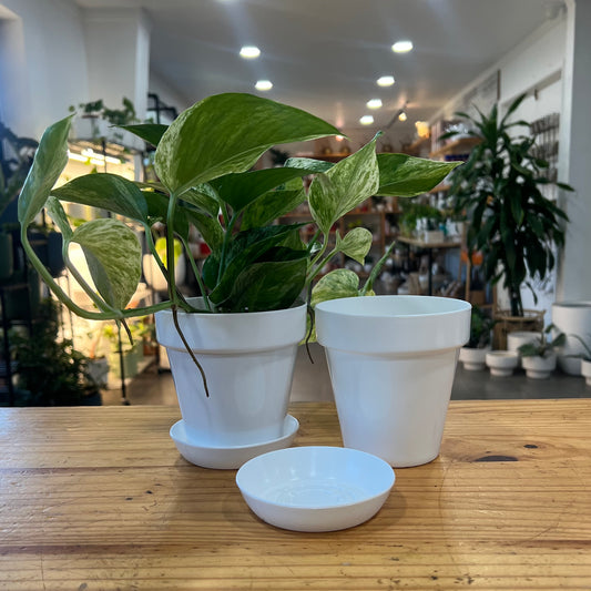 Plastic Planter Pots with Tray