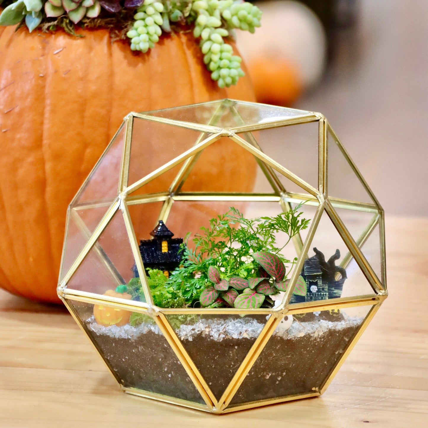 9/27 Spooky BYOT (Bring Your Own Terrarium) Workshop (Mililani)
