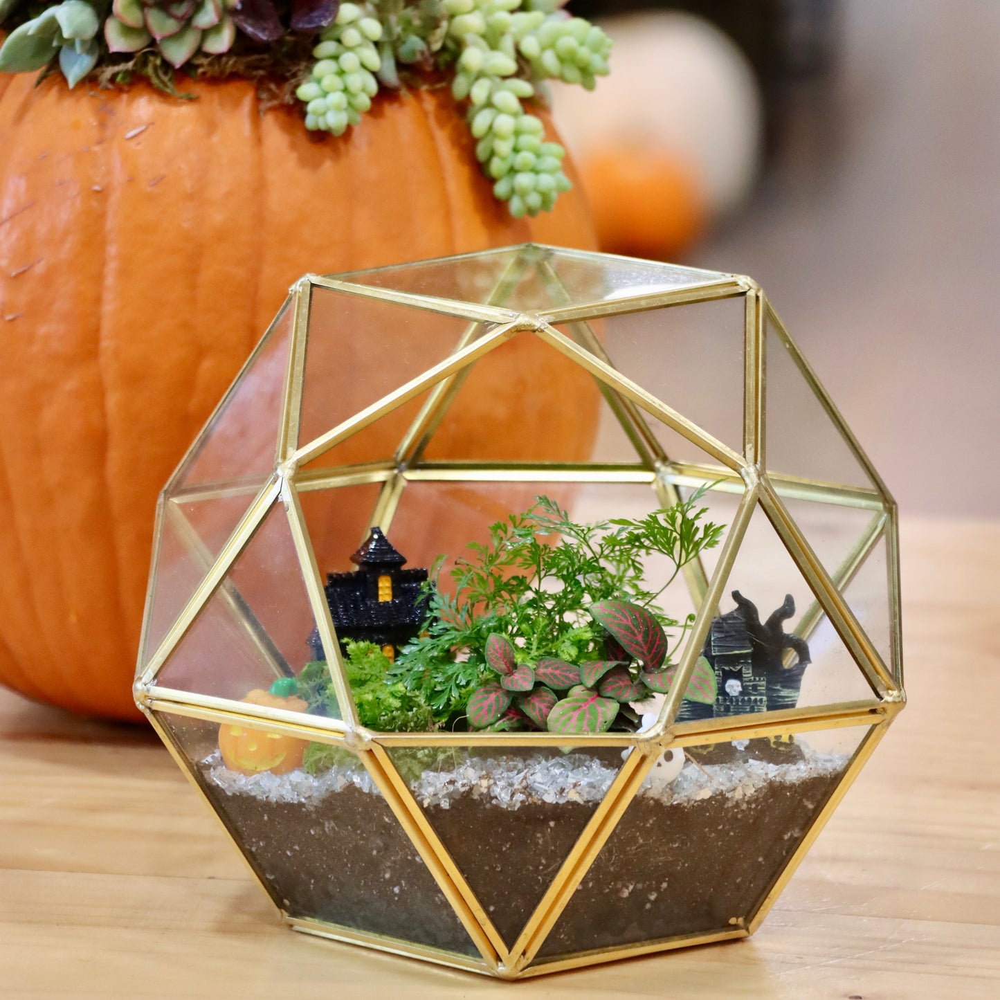 10/18 & 10/19 Spooky Terrarium Workshop