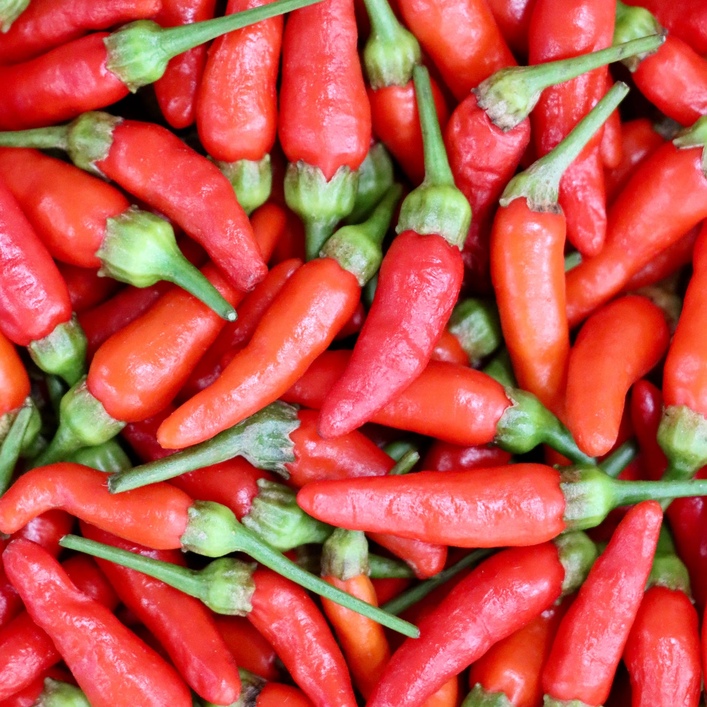 Hawaiian Chili Pepper by the pound
