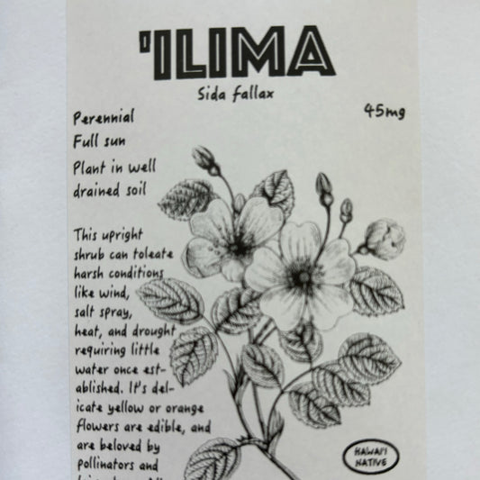 'Ilima, seeds