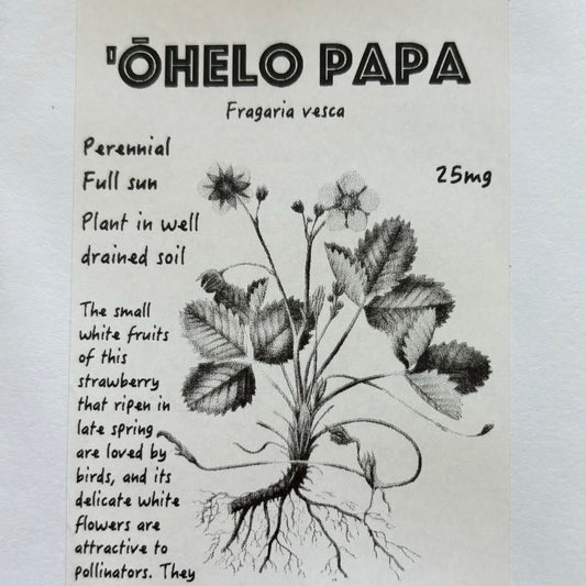 'Ohelo Papa, seeds
