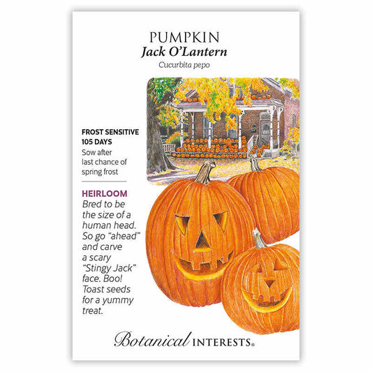 Pumpkin seeds ʻJack O'Lanternʻ