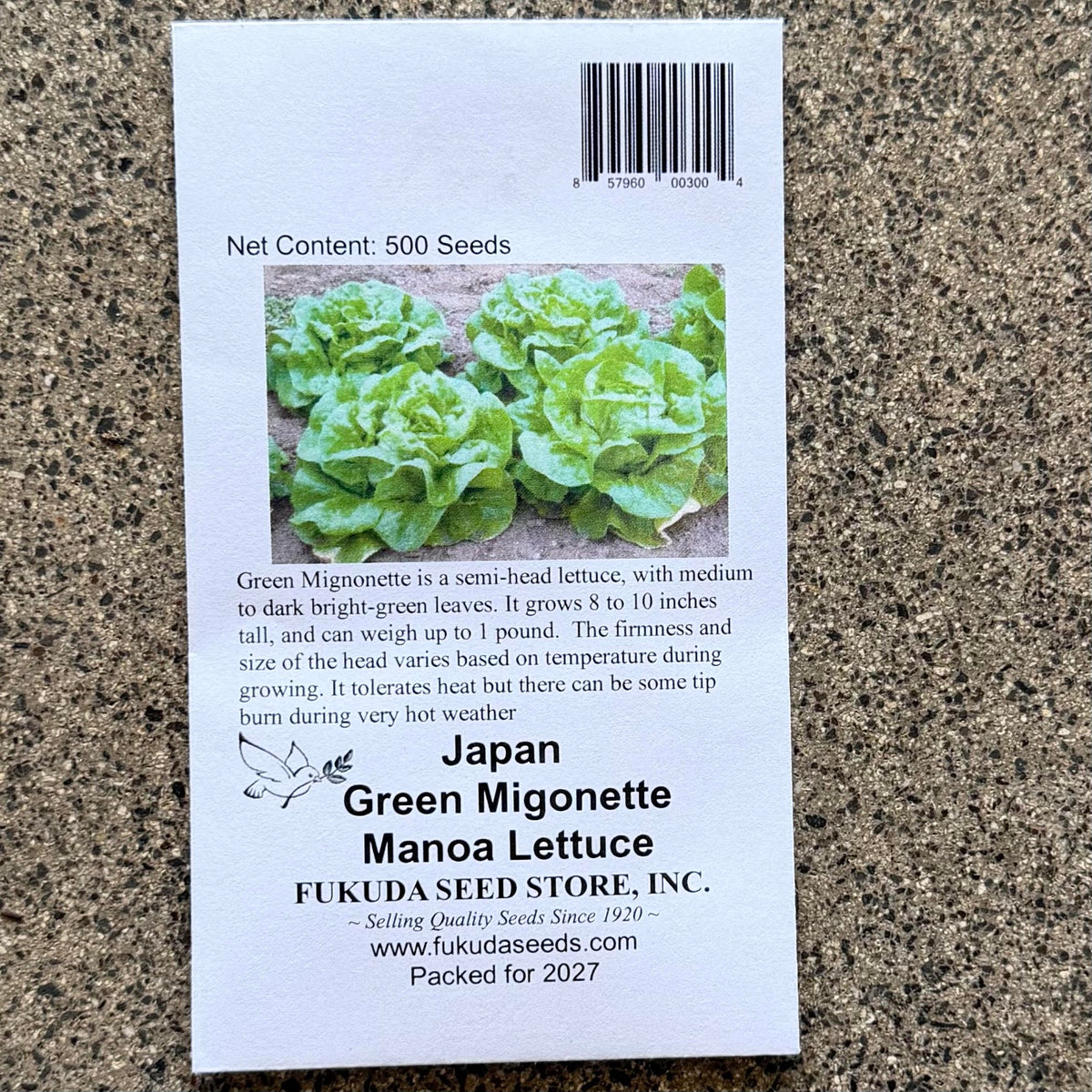 Lettuce Manoa 'Japan Green Migonette'