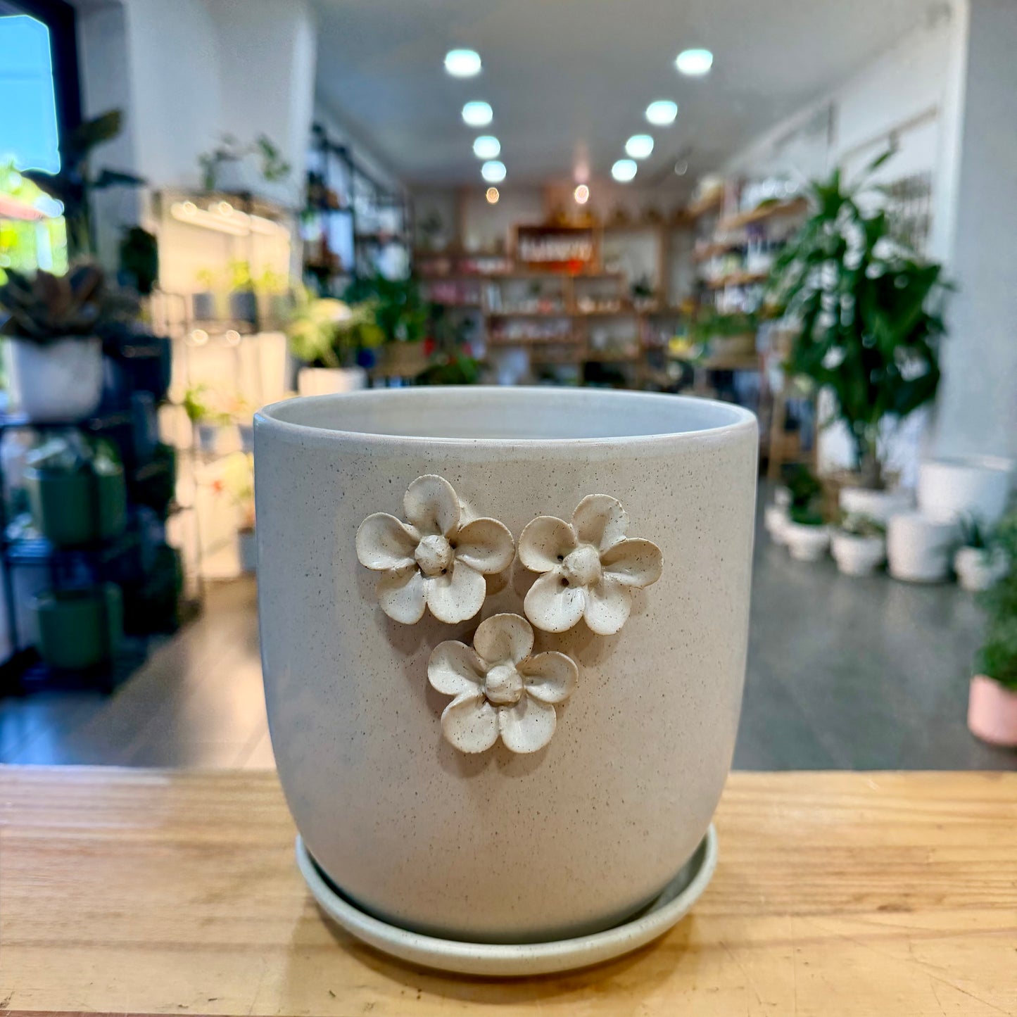 Jasmine Planter