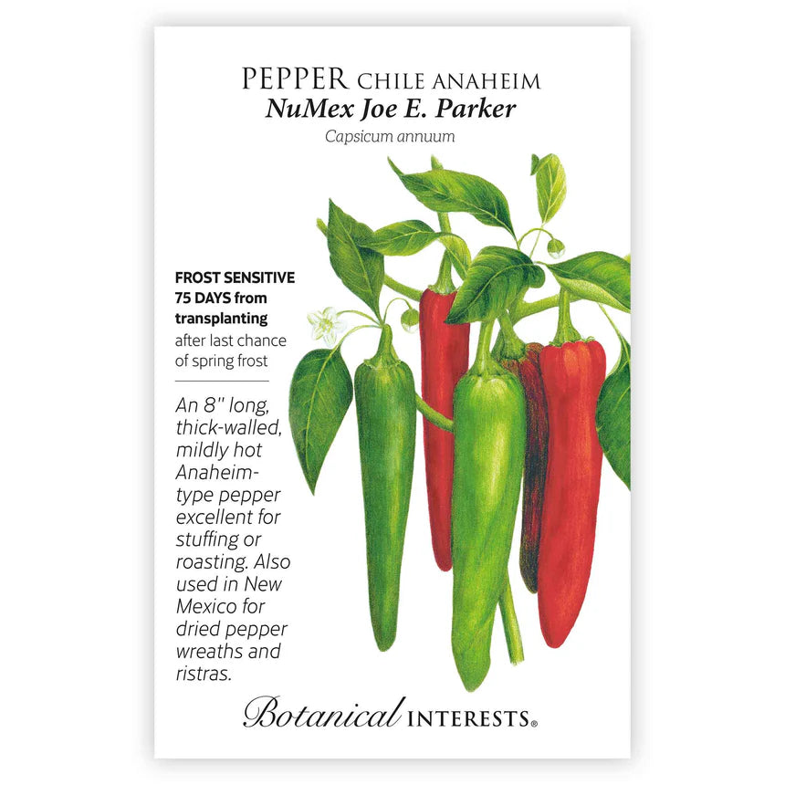 Pepper Chile seeds'Anaheim Joe Parker'