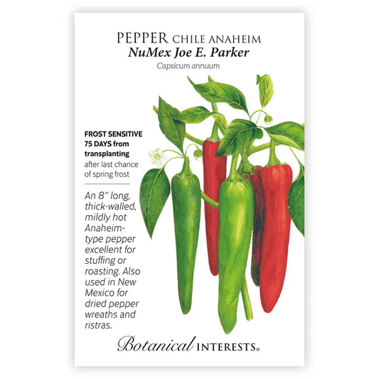 Pepper Chile seeds'Anaheim Joe Parker'