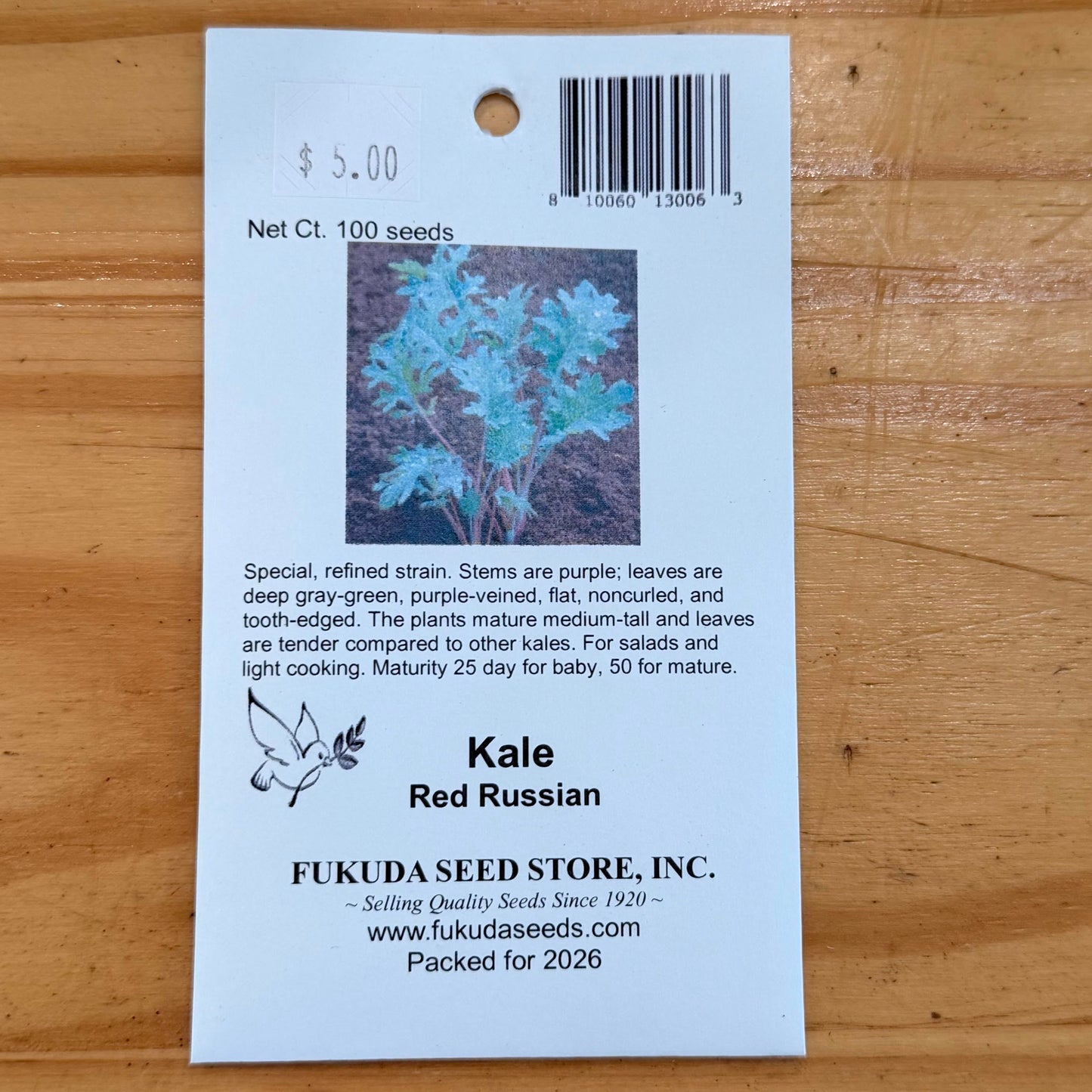 Kale, Red Russian, Seeds