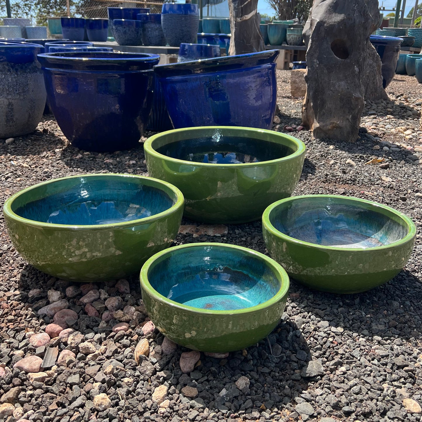 Kiel Low Water Bowl