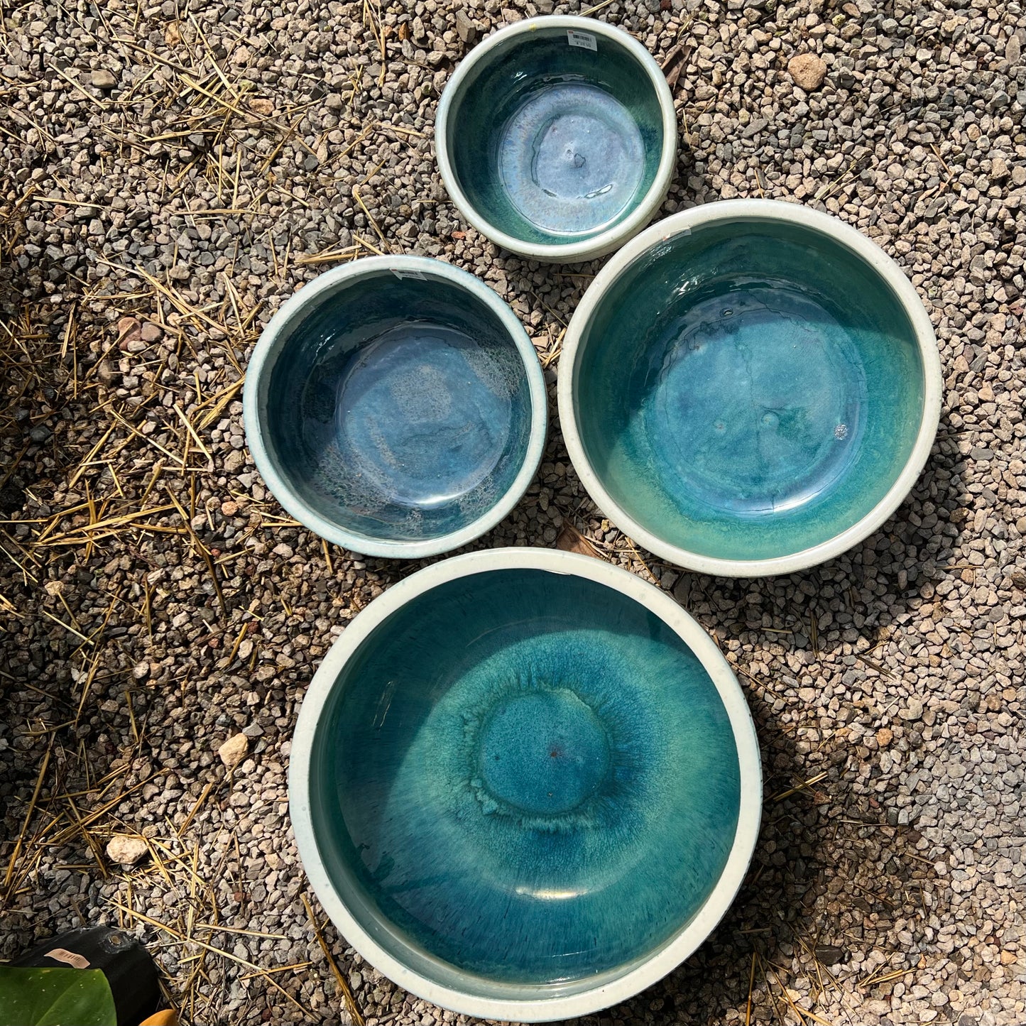 Kiel Low Water Bowl