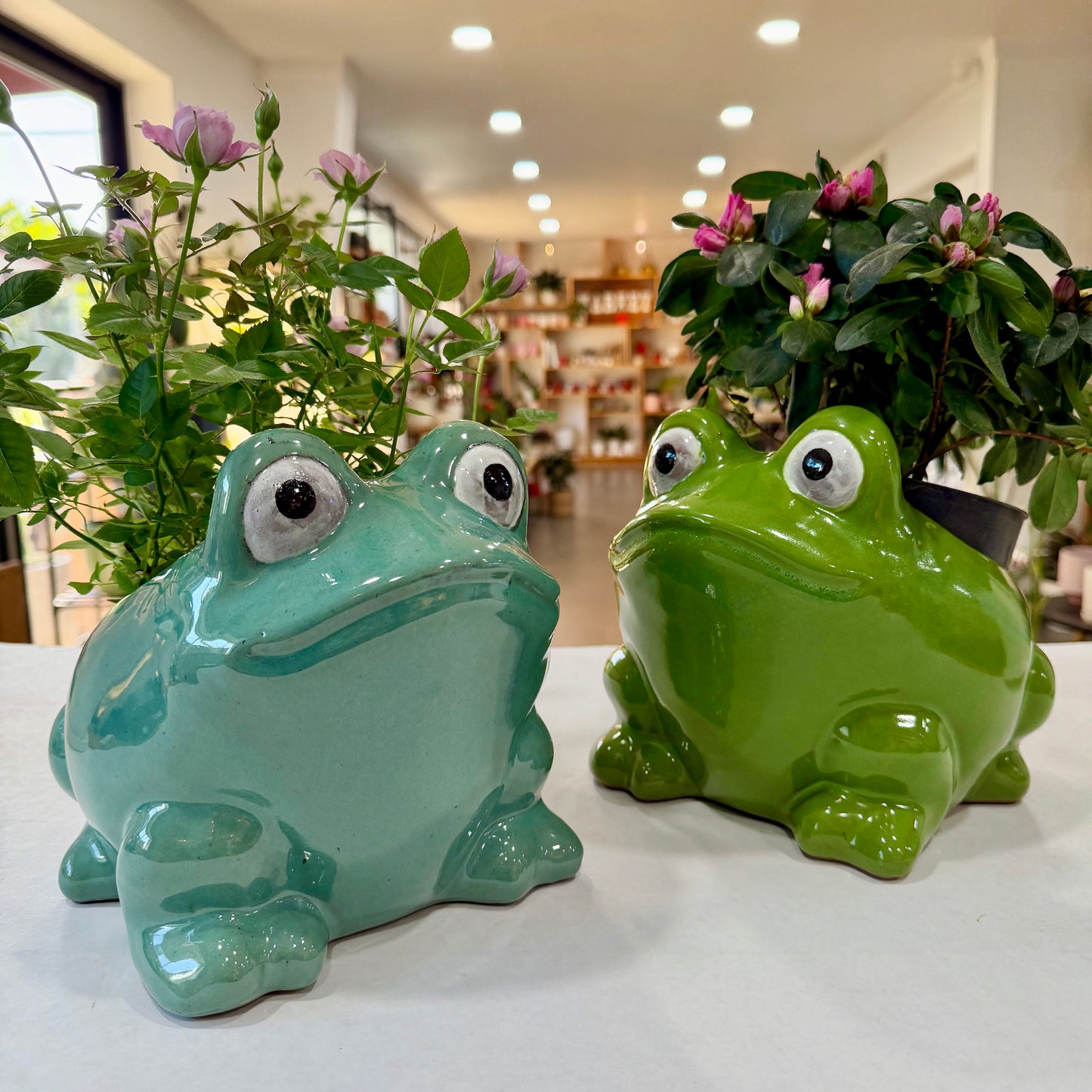 Large Frog Planter