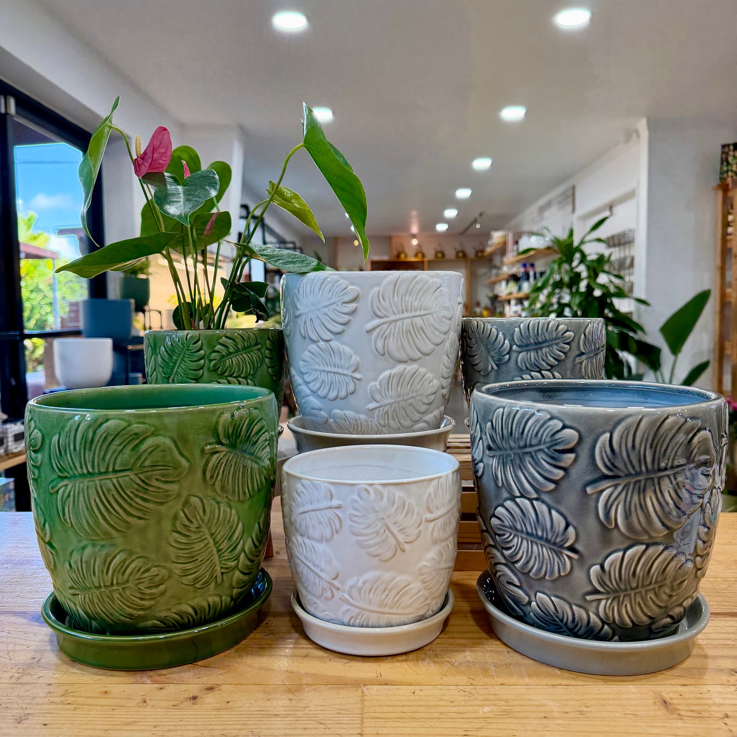 Leaf Planter