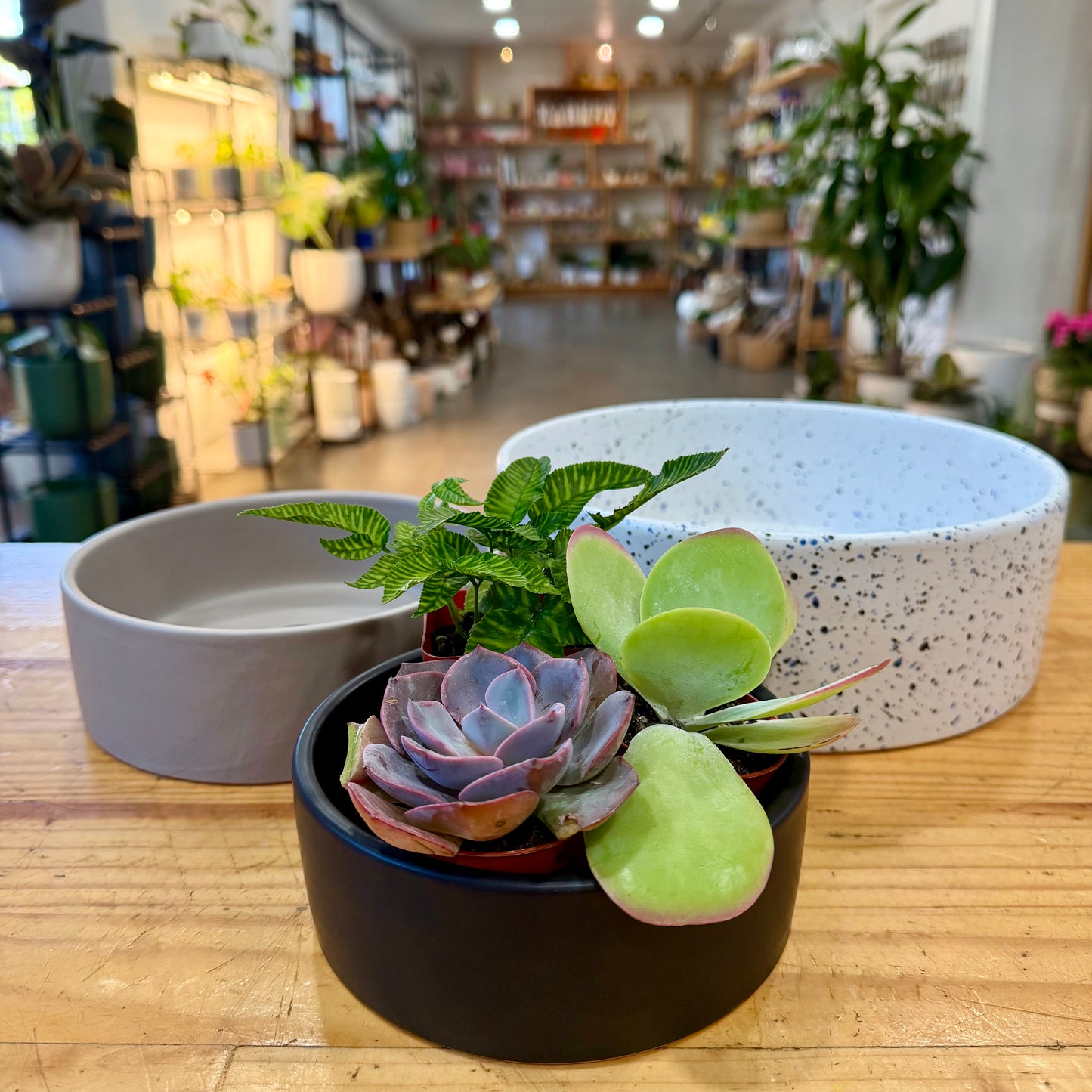 Leidon Low Bowl
