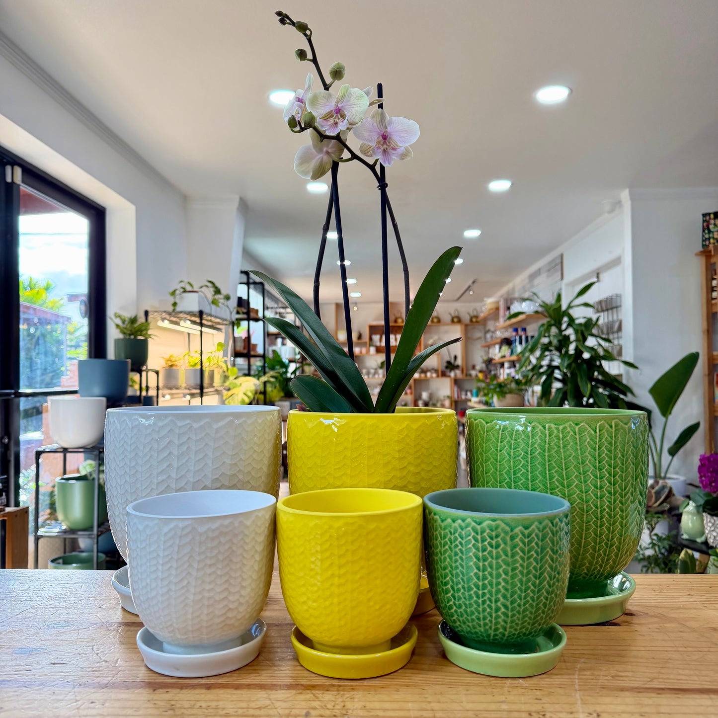 Linden Planter
