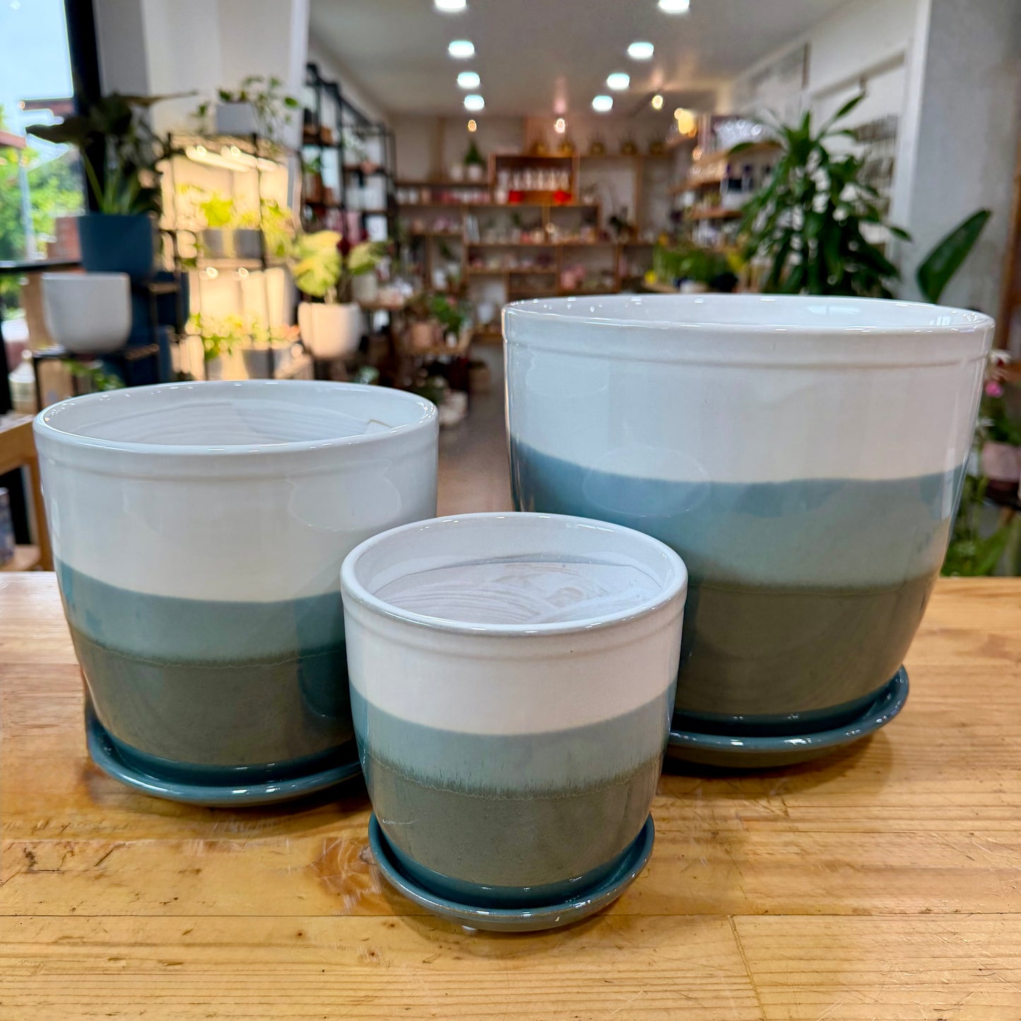 Lydia Planter